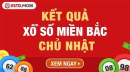 giao diện app kết quả xổ số chủ nhật hàng tuần minh ngọc