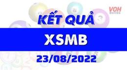 giao diện app kết quả xổ số ngày 23 tháng 8