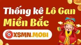 giao diện app xem lô gan xổ số miền bắc