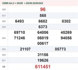 hướng dẫn sử dụng cà mau xổ số