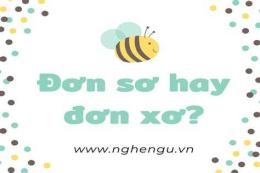 hướng dẫn sử dụng đơn sơ hay đơn xơ