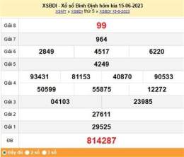 hướng dẫn sử dụng dự đoán xổ số bình định 888