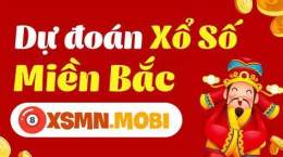 hướng dẫn sử dụng du doan xo so mien bac mobi