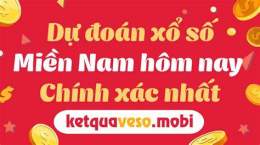 hướng dẫn sử dụng dự đoán xổ số miền nam bữa nay