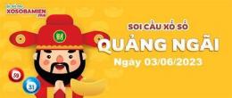 hướng dẫn sử dụng dự đoán xổ số quảng ngãi - minh ngọc