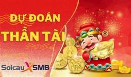 hướng dẫn sử dụng dự đoán xổ số thần tài mn