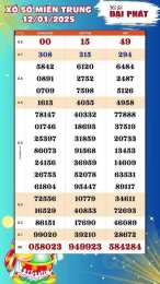 hướng dẫn sử dụng kết quả xổ số chủ nhật hàng tuần miền trung