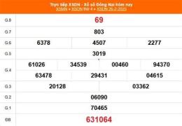 hướng dẫn sử dụng kết quả xổ số đồng nai ngày 15 tháng 7