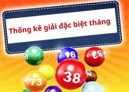 hướng dẫn sử dụng kết quả xổ số giải đặc biệt