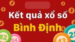 hướng dẫn sử dụng kết quả xổ số tỉnh bình định