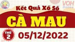 hướng dẫn sử dụng quả xổ số cà mau