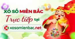 hướng dẫn sử dụng so xo mien bac thu 3 hang tuan