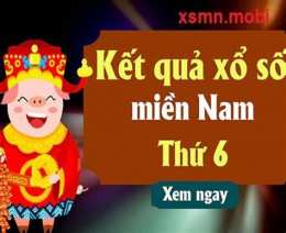 hướng dẫn sử dụng số xổ miền nam thứ sáu