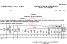 hướng dẫn sử dụng xổ số 11 tháng 11