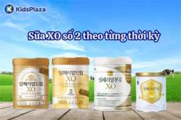 hướng dẫn sử dụng xo so 2/3