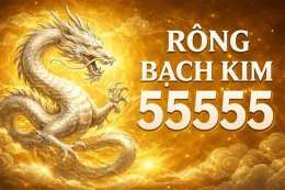 tính năng nổi bật rồng bạch kim soi cầu xổ số