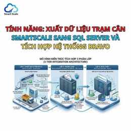 tính năng nổi bật số xổ quảng nam