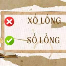 xổ lông hay sổ lông