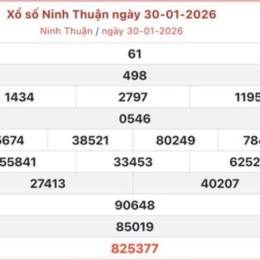 xổ số ninh thuận 30 ngày qua