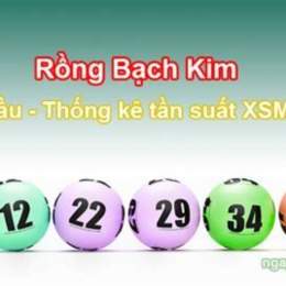 xo so rong bach kim
